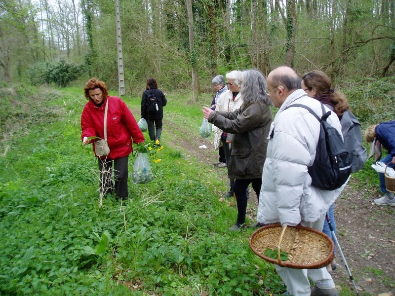 2006 04 Plantes alimentaire 06